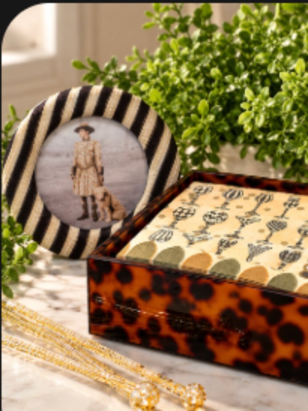 MacKenzie-Childs Curated Hostess Gift Set Tortoise Cocktail